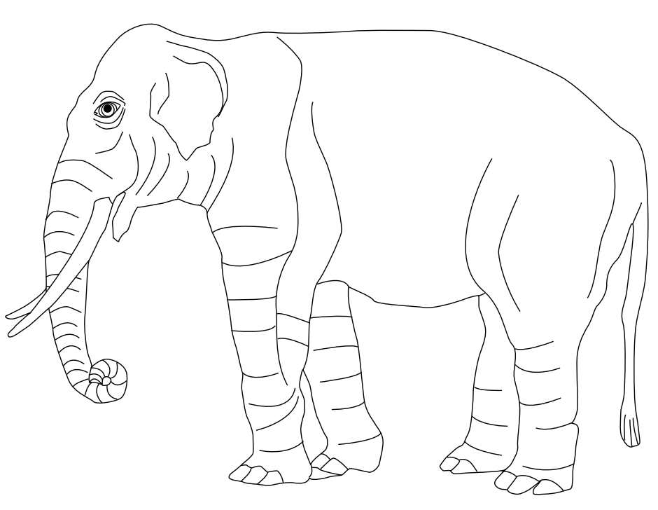 A line drawing of an elephant.