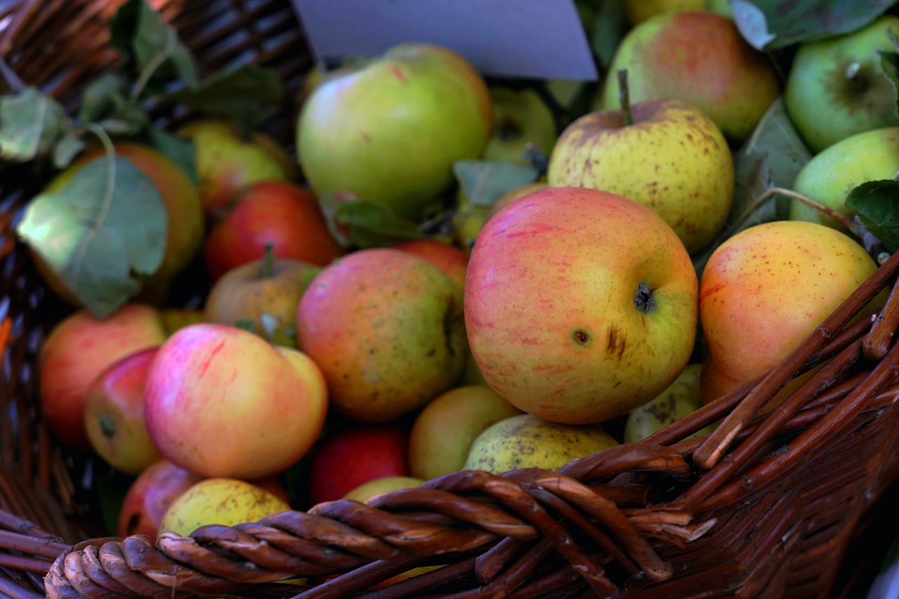 Wie viele Kilogramm Äpfel hatte ein Kleingärtner in die Kelterei gebracht? /opajupp/apfelsaft-fuer-kleingaertner/apple-g9b9484c65_1280.jpg