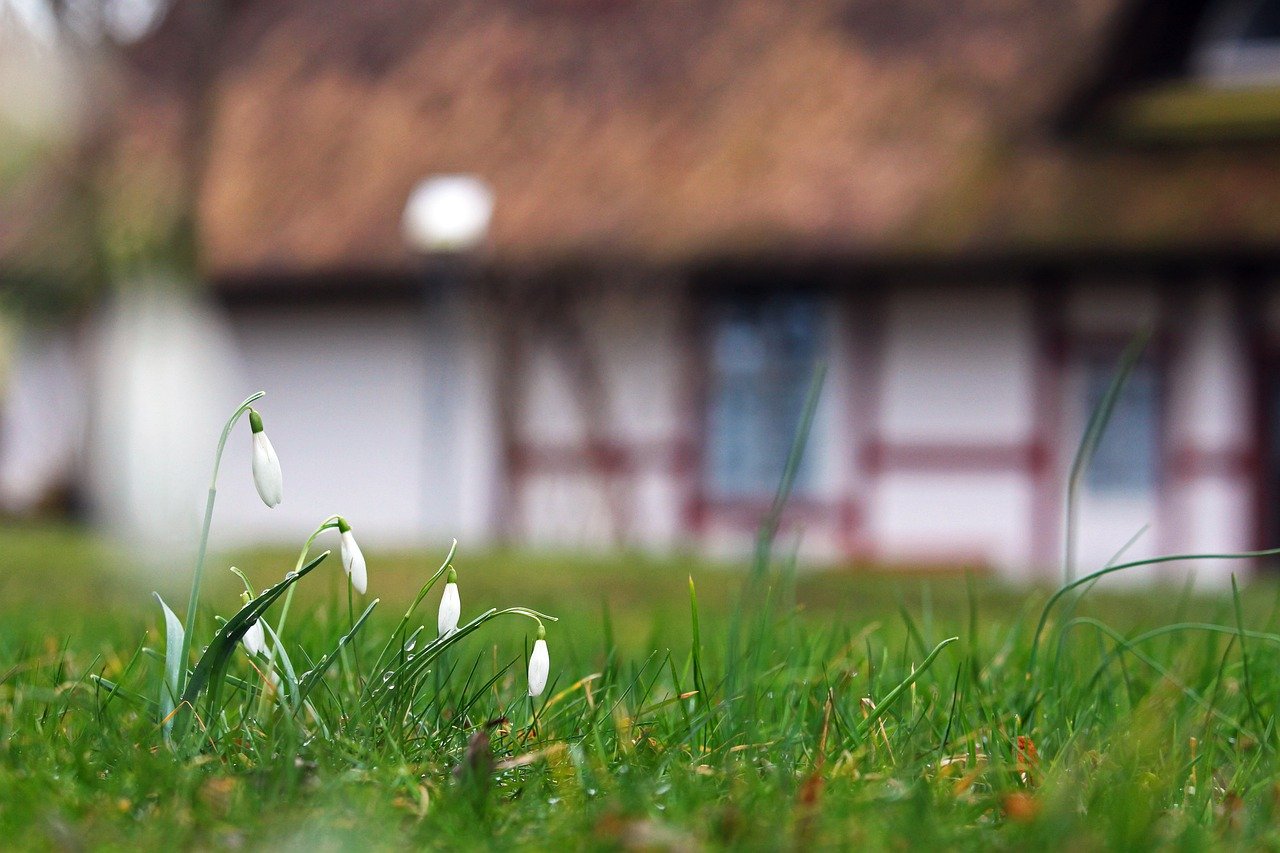 /opajupp/halbierung-eines-dreieckigen-gartens/snowdrop-g704c62465_1280.jpg /opajupp/halbierung-eines-dreieckigen-gartens/snowdrop-g704c62465_1280.jpg