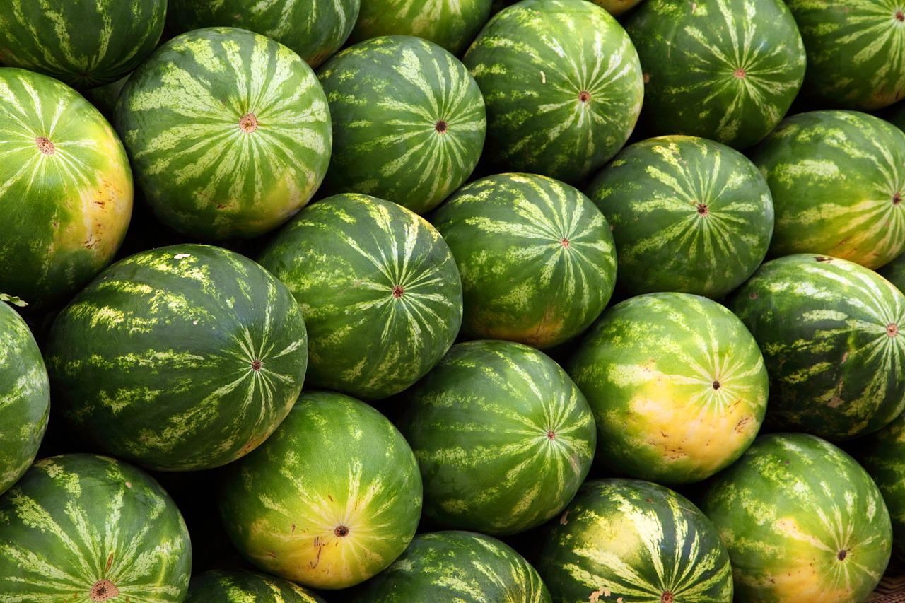 /opajupp/melonen-aus-mexiko/watermelons-gdc2dd3c63_1280.jpg /opajupp/melonen-aus-mexiko/watermelons-gdc2dd3c63_1280.jpg
